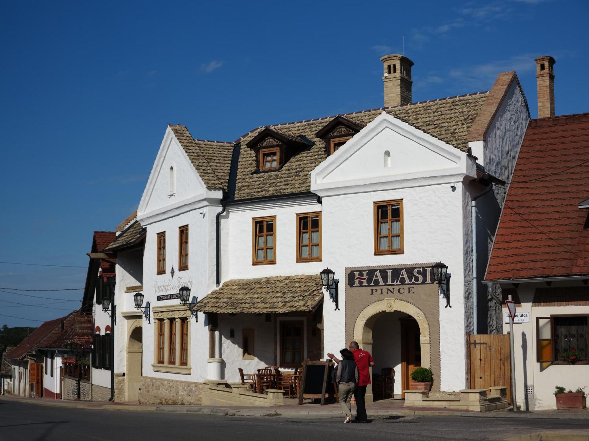 Halasi Pince Panzio Villány Zewnętrze zdjęcie